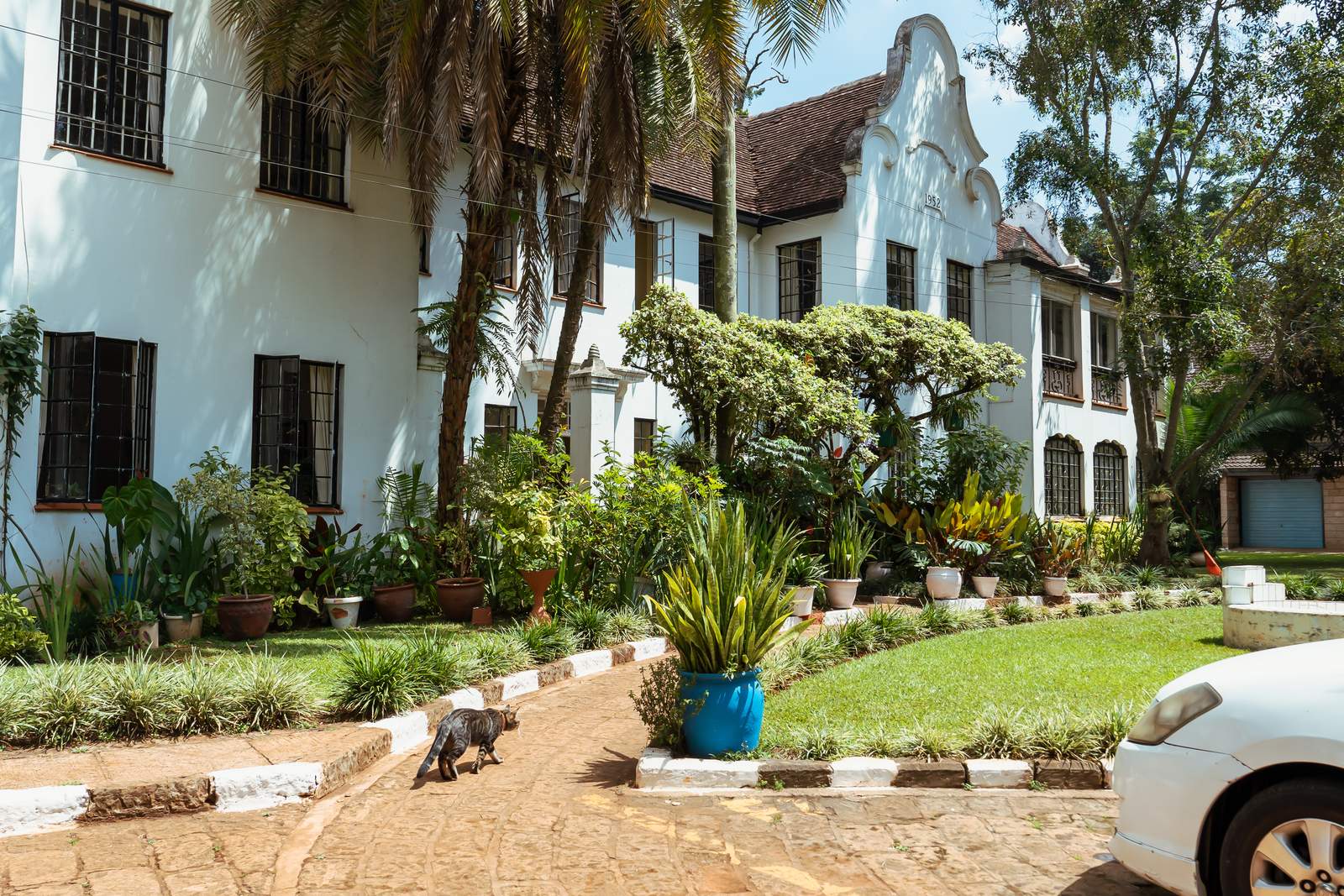 Lewa House - Gallery 12